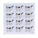 Ｐｕｍｐｋｉｎ