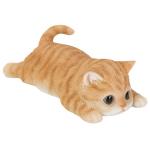 茶トラ猫