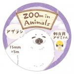 アザラシ