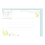 ミモザと白い花