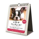 2027年カレンダー 卓上 人生はワンチャンス(人生はワンチャンス