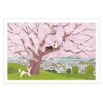 丘の上の桜