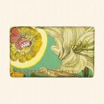 グレープフルーツ＆リリー