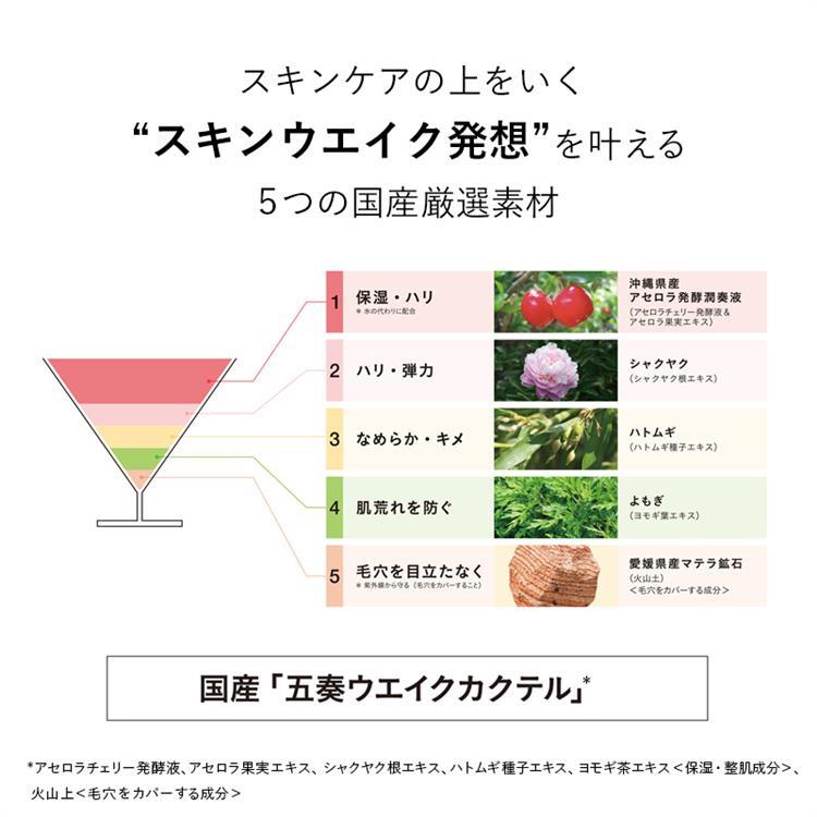 ザ・スキンウエイク 発酵液ファンデーション フィルタリングクリーム コンパクトケース付 P01 P01
