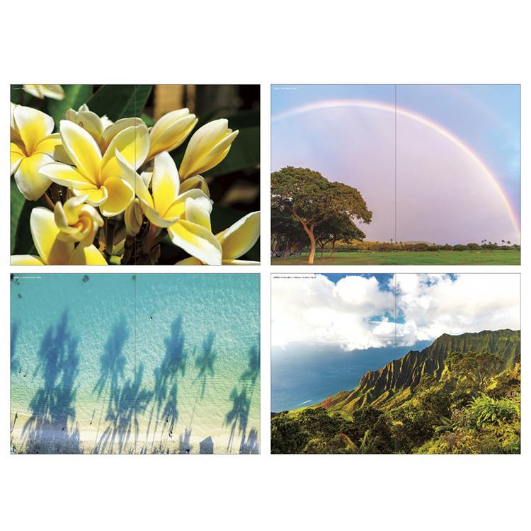 2026年10月始まり手帳 月間 A6 Hawaii Diary リバイバル リバイバル