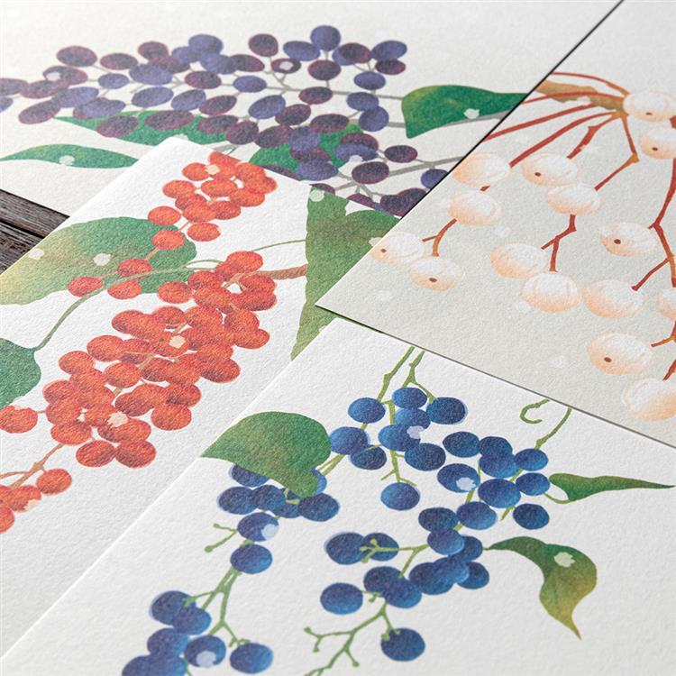 冬柄便箋 冬の実柄 冬の実柄