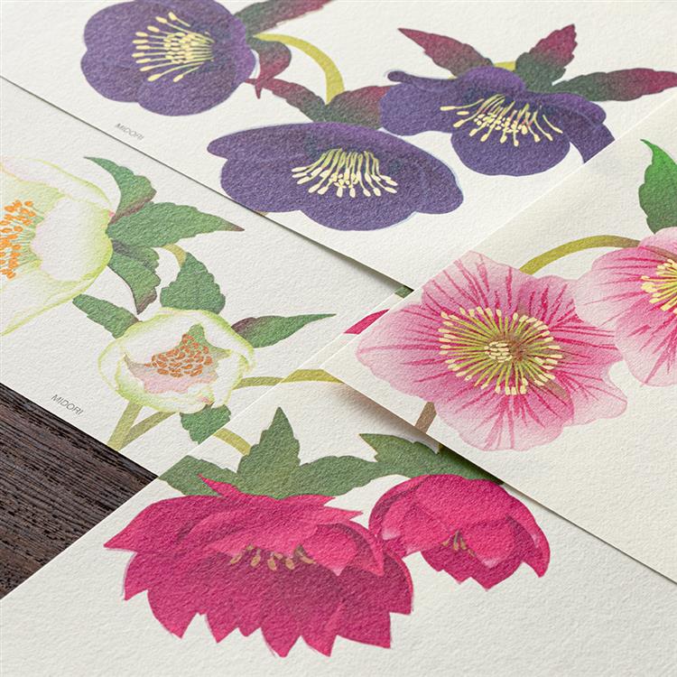 冬柄 便箋 クリスマスローズ柄 クリスマスローズ柄