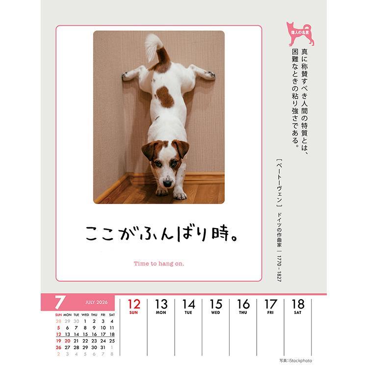 2026年1月始まり 卓上・壁掛け 週めくりカレンダー 人生はワンチャンス 人生はワンチャンス