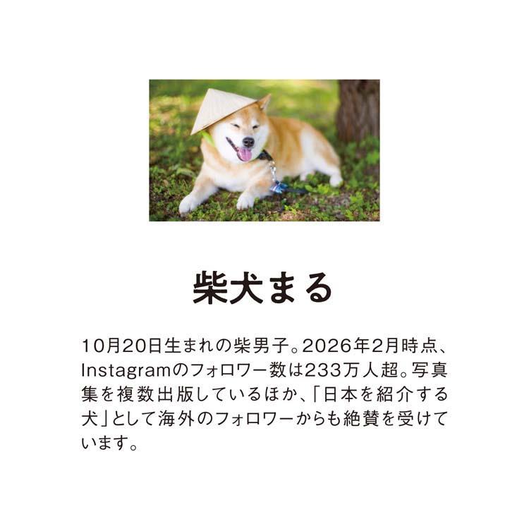 2027年1月始まりカレンダー 卓上 柴犬まるのおしゃべり週めくり