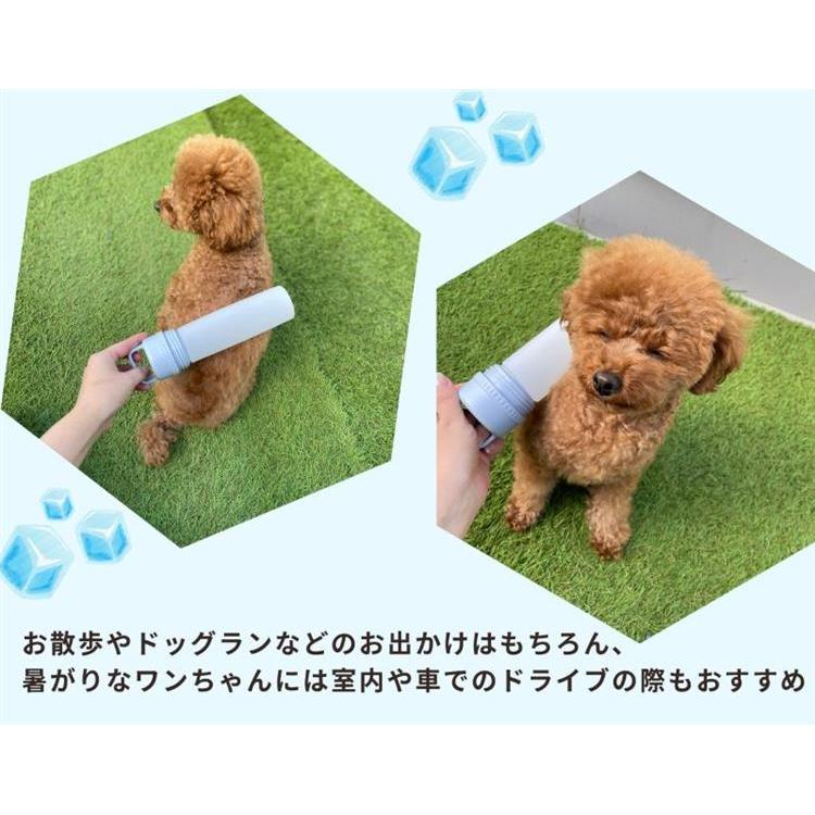 2in1ボトル モスグリーン モスグリーン