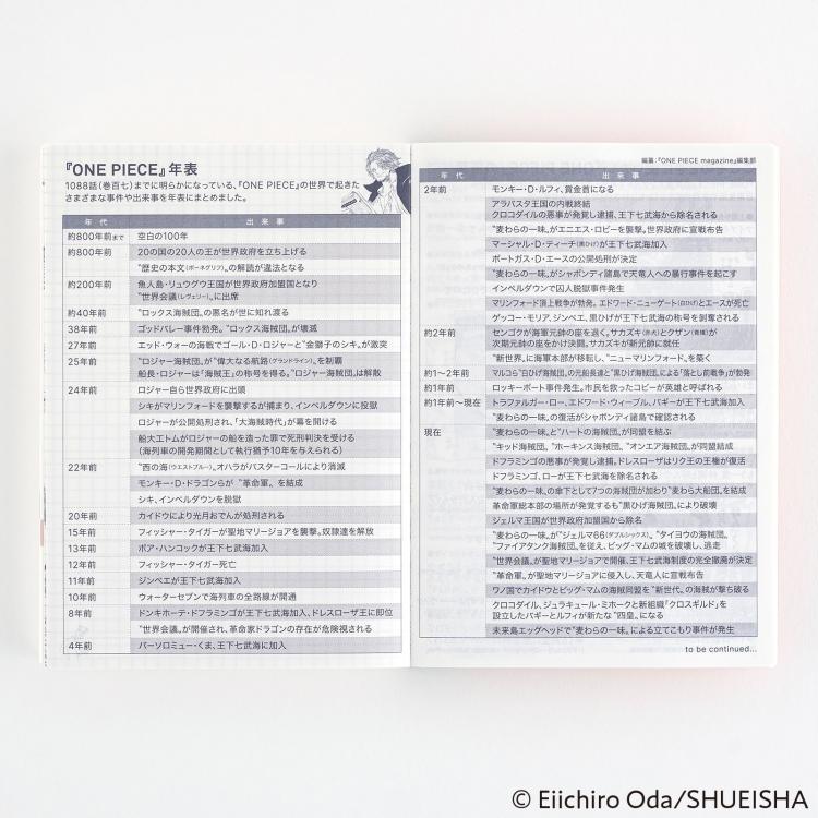 2025年1月始まり オリジナル 手帳本体 ワンピース ほぼ日
