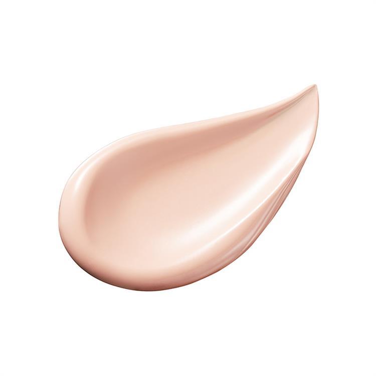 ザ・スキンウエイク 発酵液ファンデーション フィルタリングクリーム コンパクトケース付 P01 P01