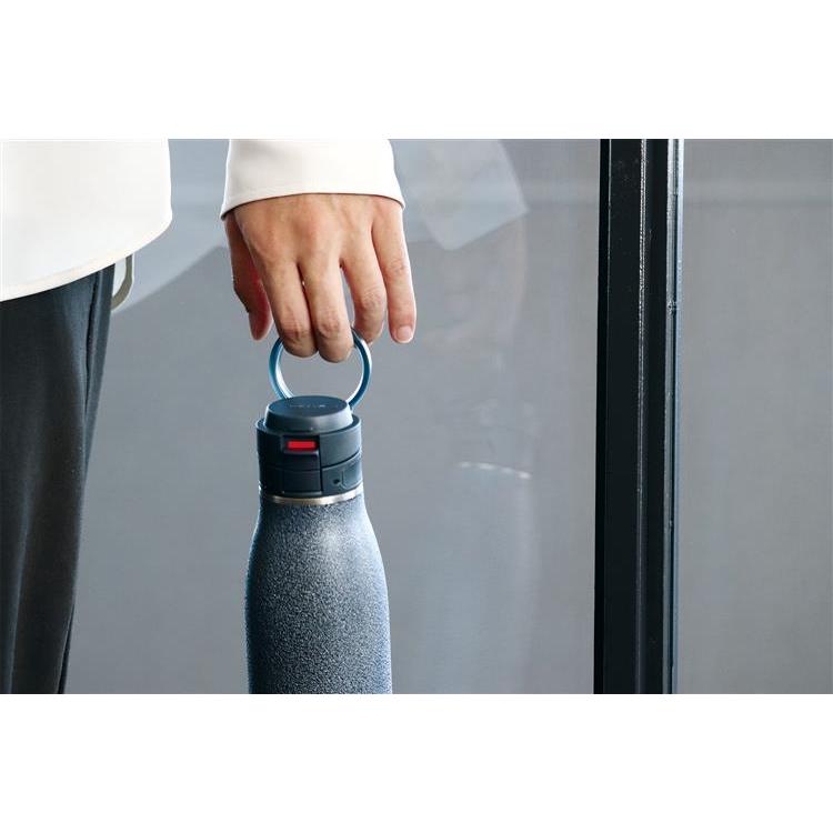 トラベラー17 スペシャルセレクション 500ml ゴートシルバー(ゴート