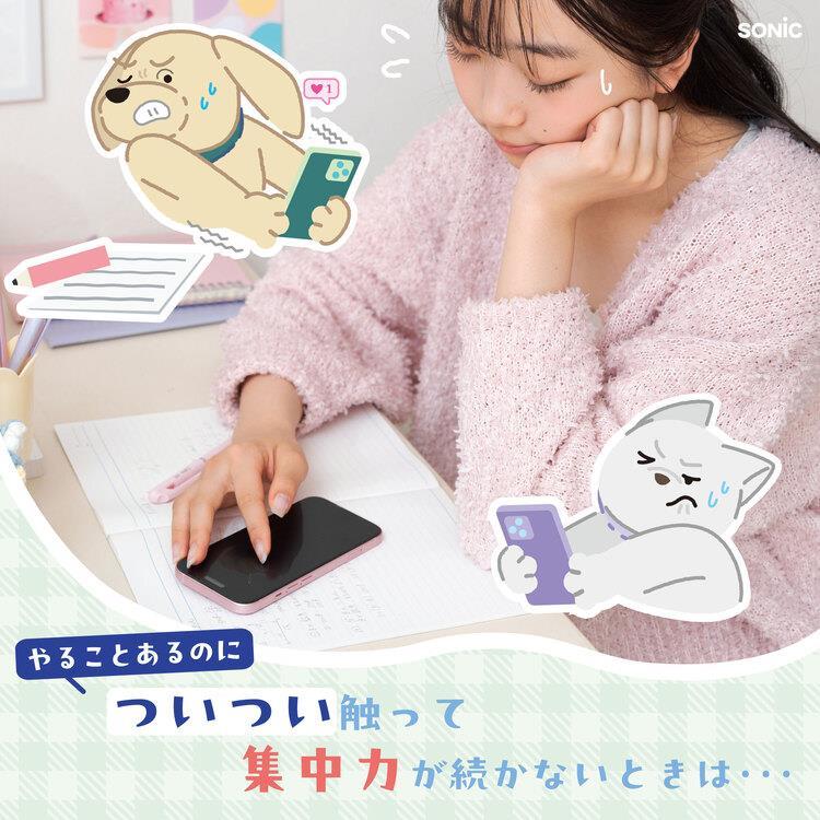 デジトックス ブロックポーチ スマふれんズ くま くま