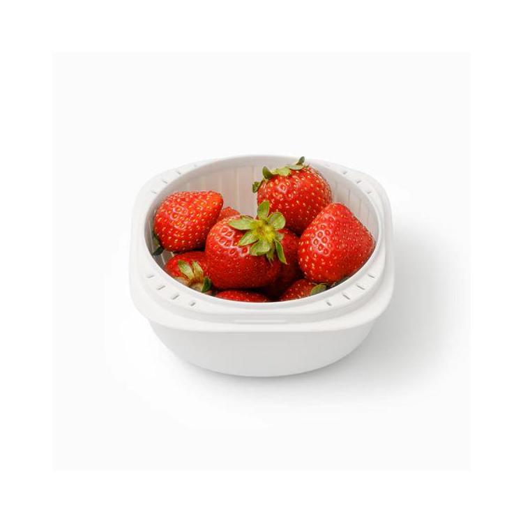 蒸気であたためる冷凍ごはん容器 2個セット クリア クリア