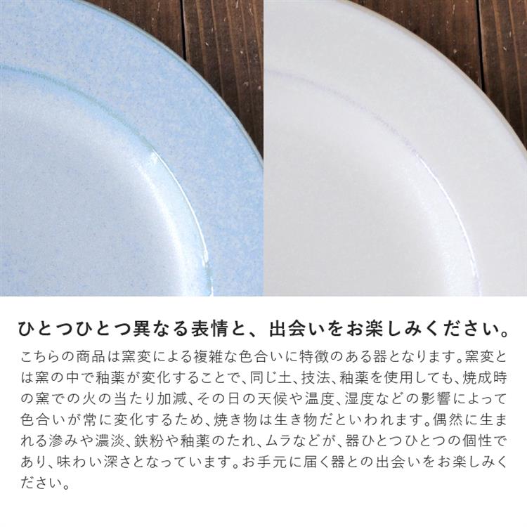 リム型５寸皿　チタンマット窯変白　クリオ