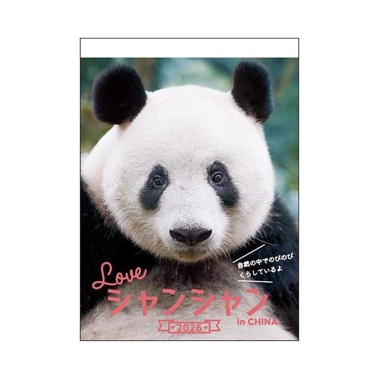 2026年1月始まりカレンダー 壁掛け パンダ シャンシャン
