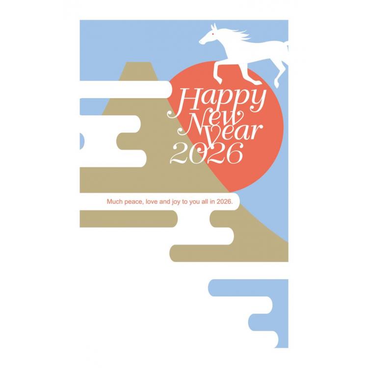 お年玉付き年賀はがき A-11 5枚入り