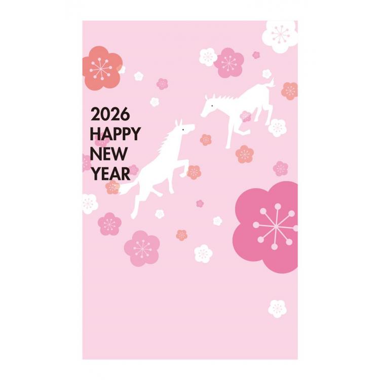 お年玉付き年賀はがき A-21 5枚入り