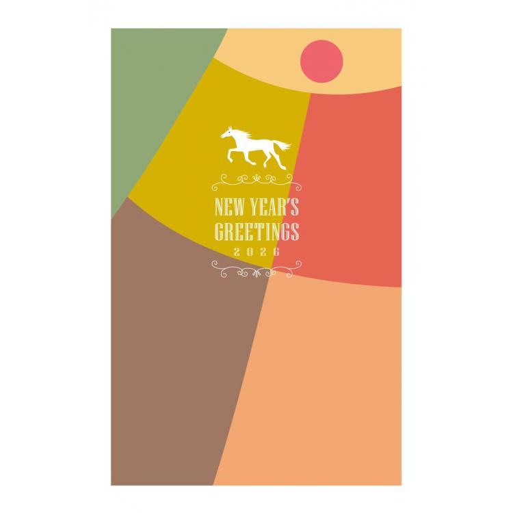 お年玉付き年賀はがき A-30 5枚入り