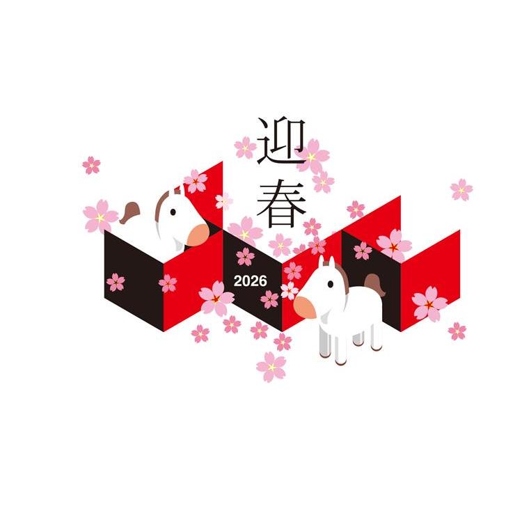 お年玉付き年賀はがき A-35 5枚入り