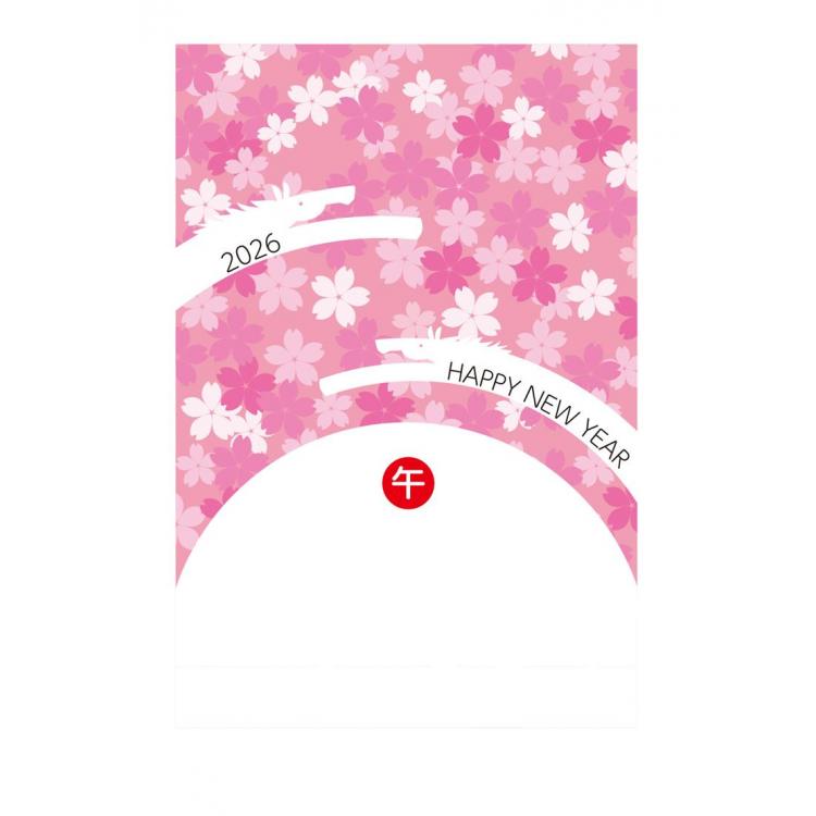 お年玉付き年賀はがき A-37 5枚入り