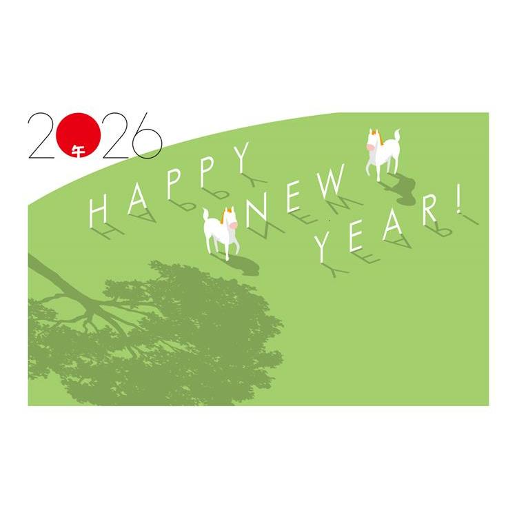 お年玉付き年賀はがき A-45 5枚入り