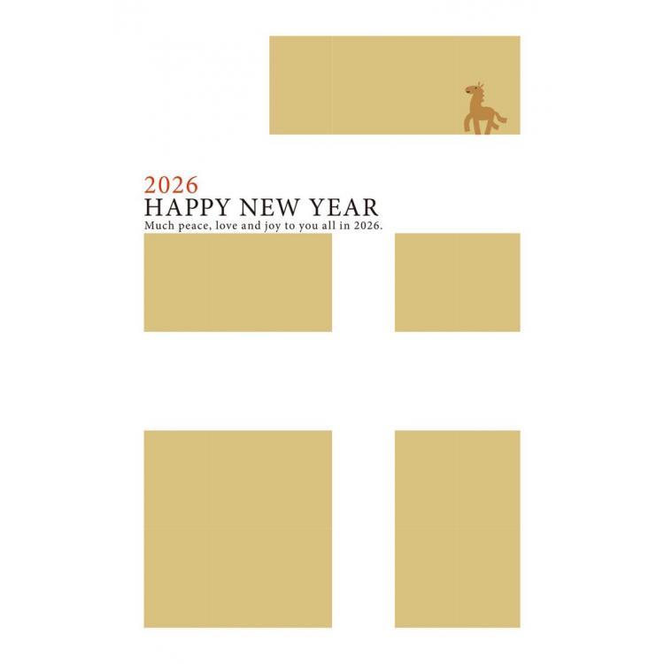 お年玉付き年賀はがき A-51 5枚入り