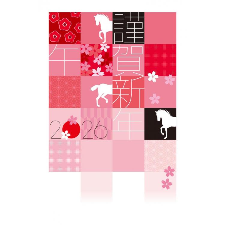 お年玉付き年賀はがき A-57 5枚入り