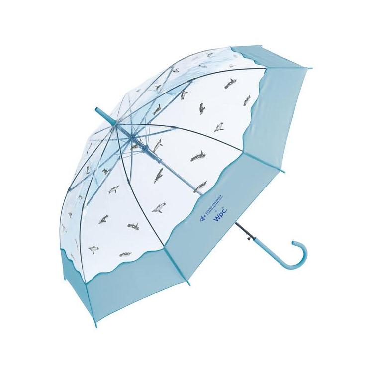 ビニール傘 すみだ水族館 ペンギン ブルー ブルー