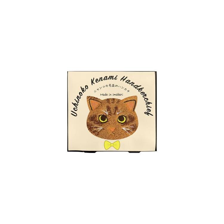 毛並みはんかち 茶トラ 茶トラ