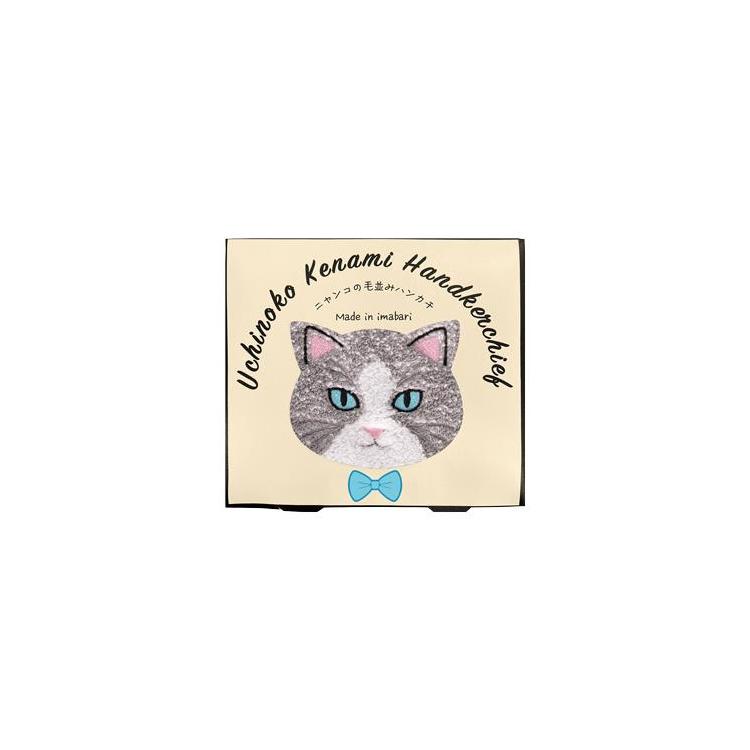 毛並みはんかち ハチワレ ハチワレ