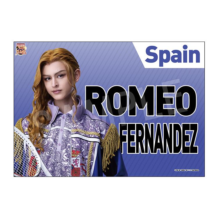 ロレアルプロフェショナル ディスプレイ 看板合計4枚