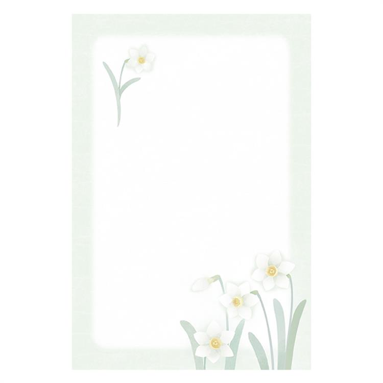 喪中はがき 水仙 10枚入り 水仙