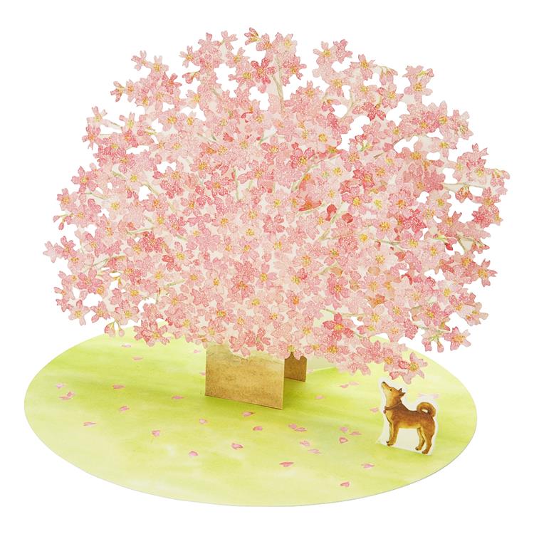 春柄　カード　立体　野原に桜の木１本