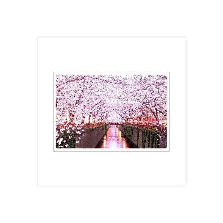 日本の絶景ポストカード　目黒川の桜