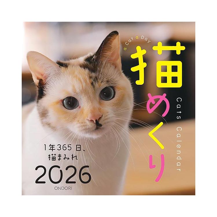 2026年1月始まり 卓上 猫めくりカレンダー 猫めくり