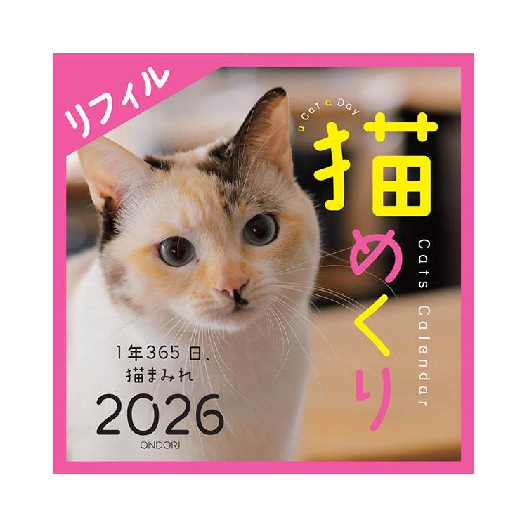2026年1月始まり 卓上 猫めくりカレンダー リフィル 猫めくり