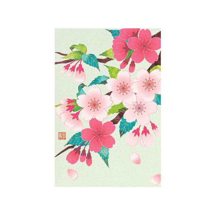 春柄 ポストカード 桜 桜