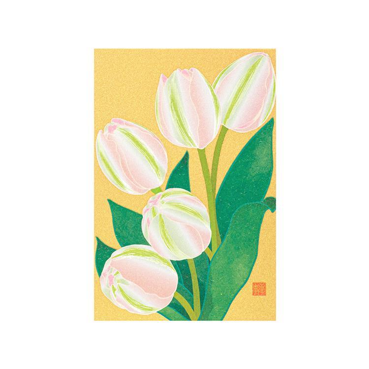 春柄 ポストカード チューリップ チューリップ