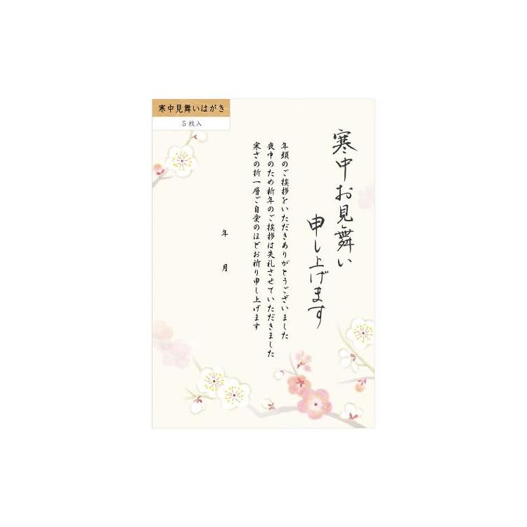 寒中見舞いはがき 梅 5枚入り