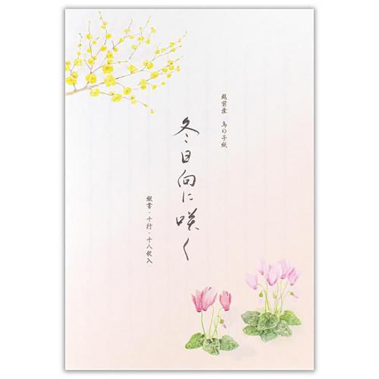冬柄 便箋 冬五集 冬日向に咲く3A 冬日向に咲く3A