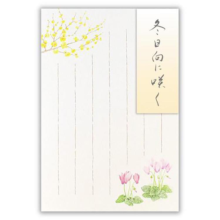 冬柄 はがき 冬五集 冬日向に咲く3A 冬日向に咲く3A