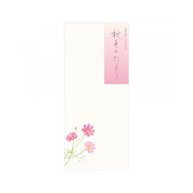 秋柄 封筒 秋六集 秋色のたより 秋色のたより