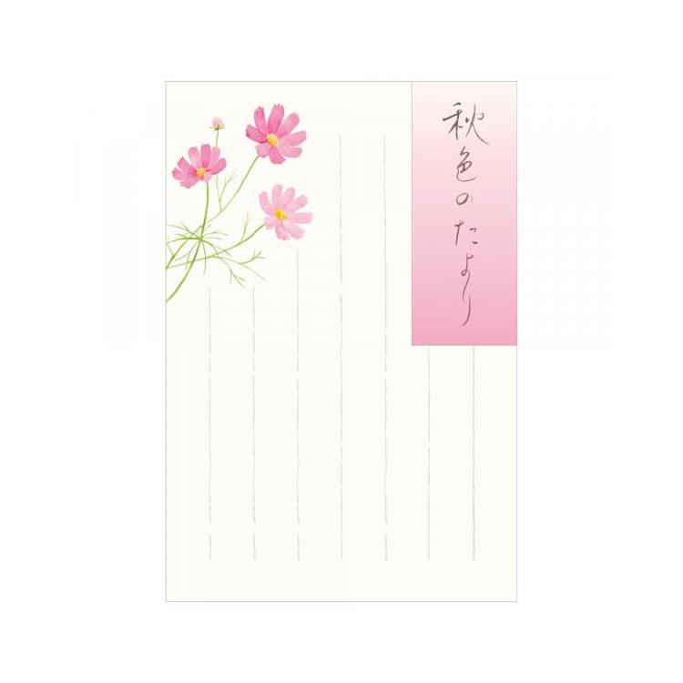 秋柄 はがき 秋六集 秋色のたより 秋色のたより
