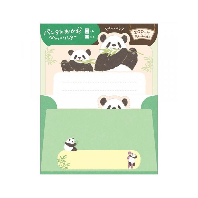 レター ズームイン ジャイアントパンダ ジャイアントパンダ