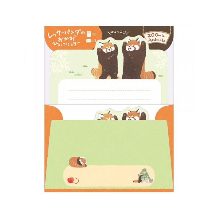 レター ズームイン レッサーパンダ2 レッサーパンダ2
