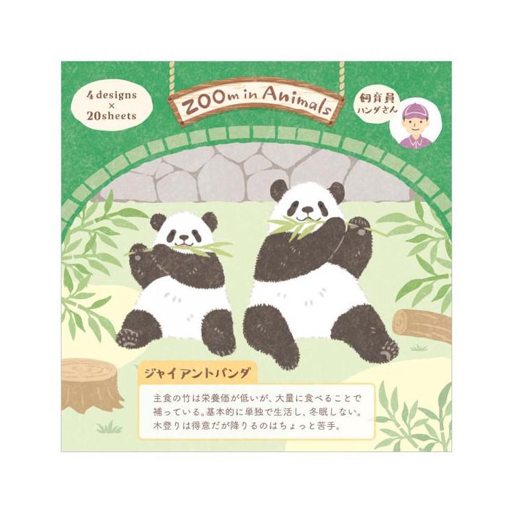 メモ ズームイン ジャイアントパンダ ジャイアントパンダ