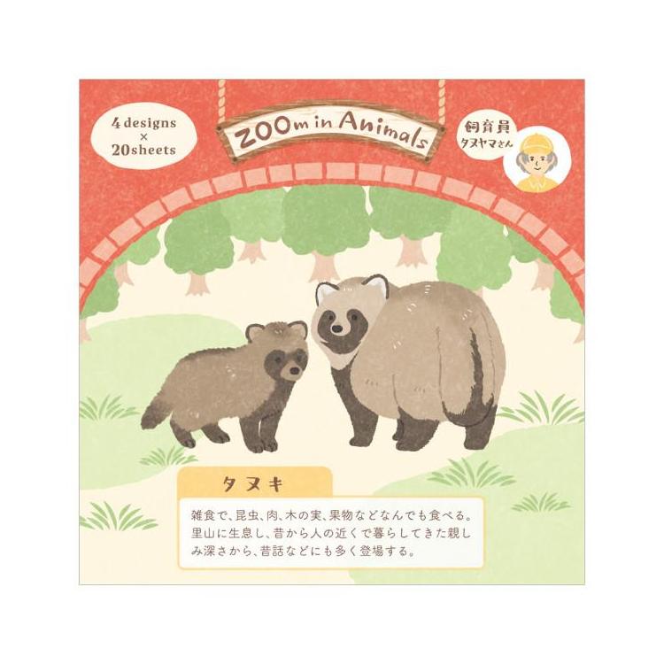 メモ ズームイン タヌキ タヌキ