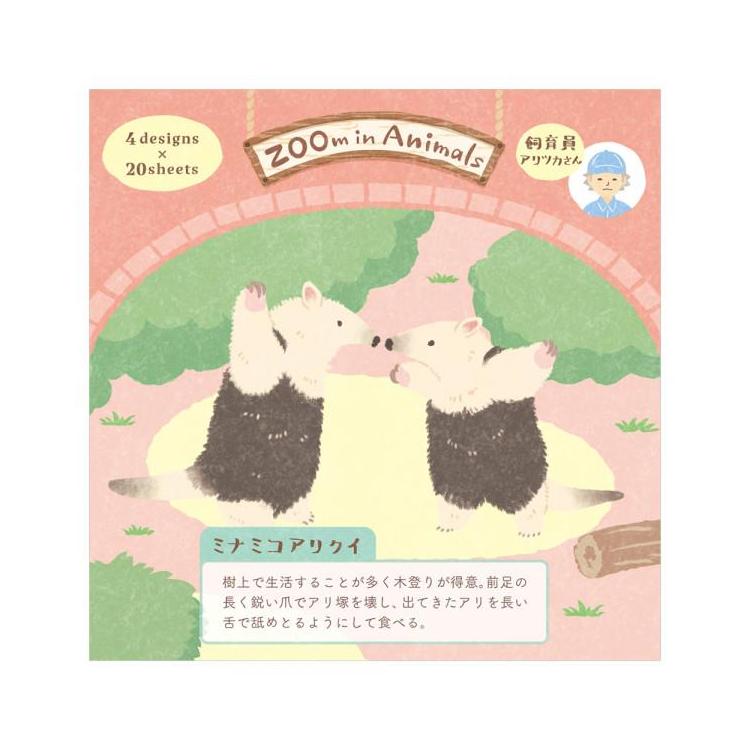 メモ ズームイン ミナミコアリクイ ミナミコアリクイ